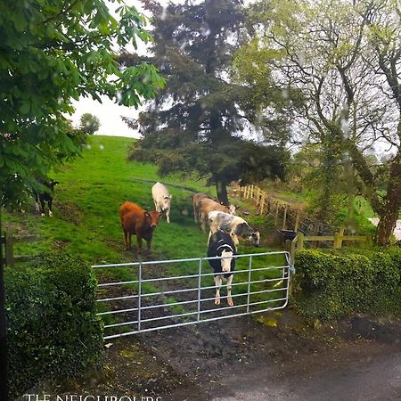 Cosy Stylish 1-Bed Apartment In South Armagh Cullyhanna Bagian luar foto