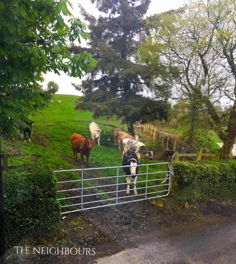 Cosy Stylish 1-Bed Apartment In South Armagh Cullyhanna Bagian luar foto